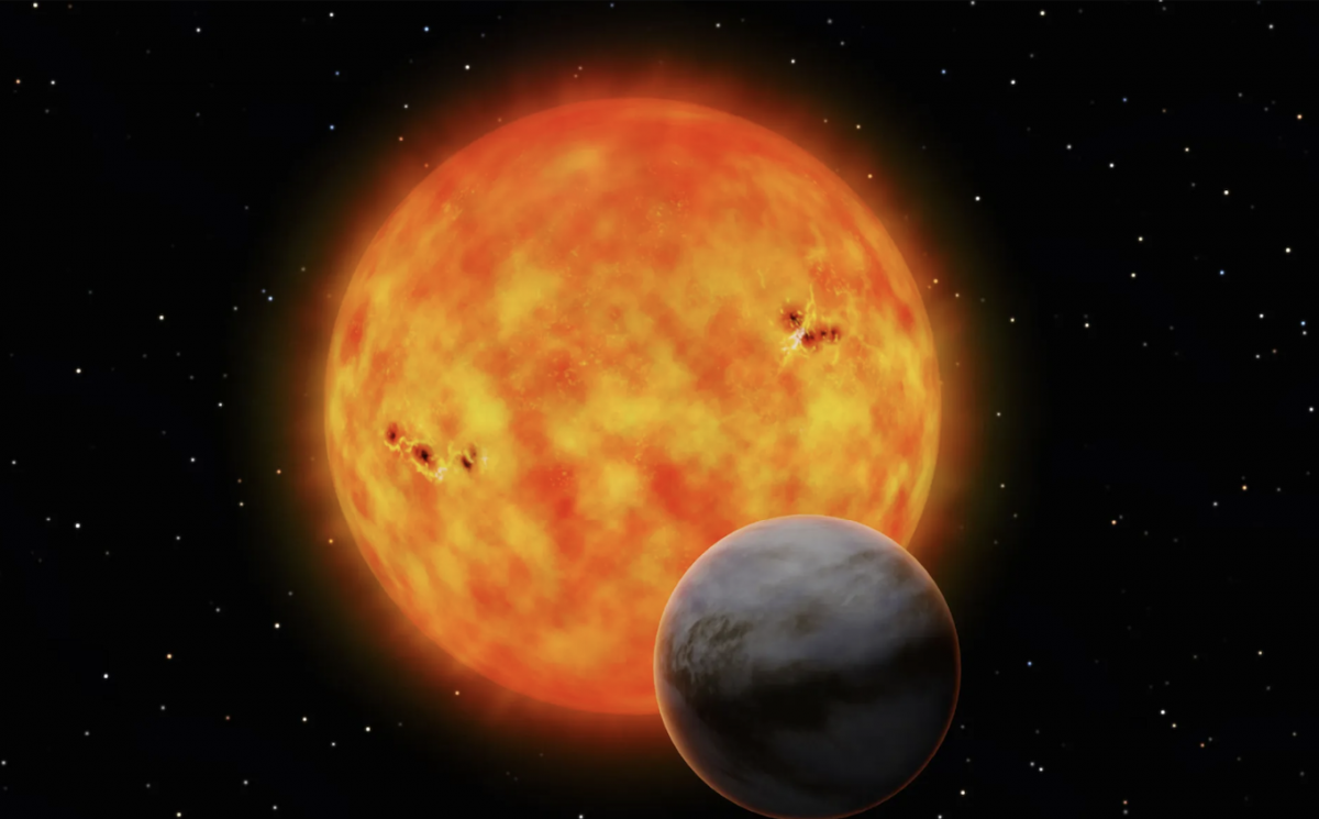 VENUS