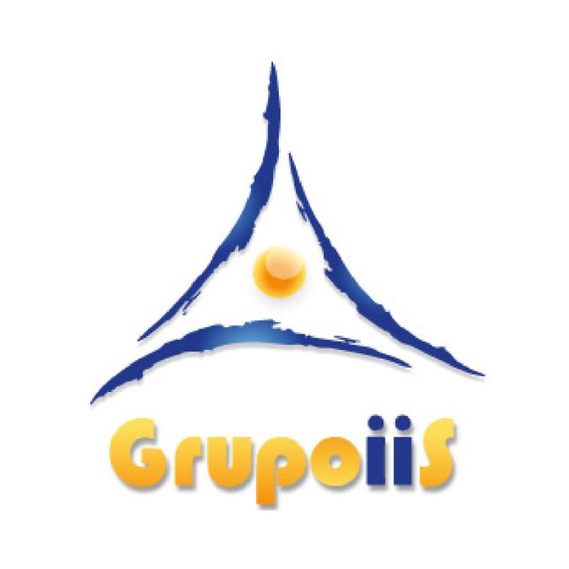 Grupo Interdisciplinario de Ingenieria y Servicios S.A de C.V / Grupo IIS